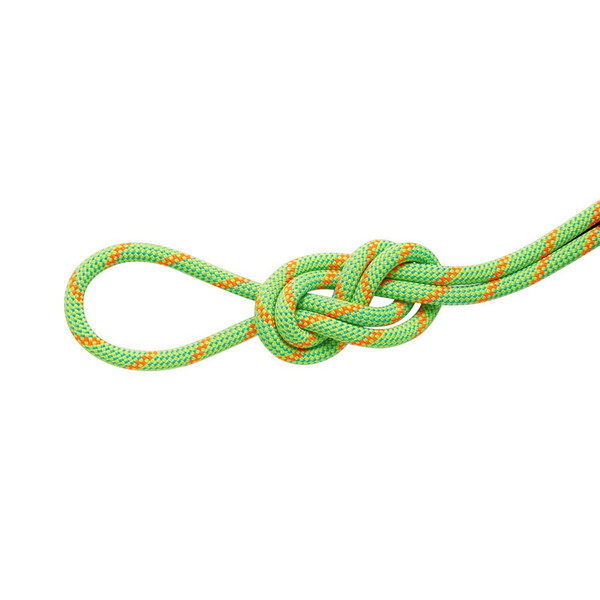 MAMMUT マムート 8.0 アルパイン ドライ ロープ 30m クライミング 201007060-9000