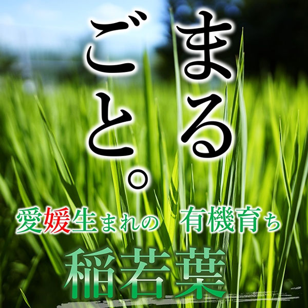 遠赤青汁 有機遠赤稲若葉 100g 5袋セット＋1袋サービス 2020-5_1