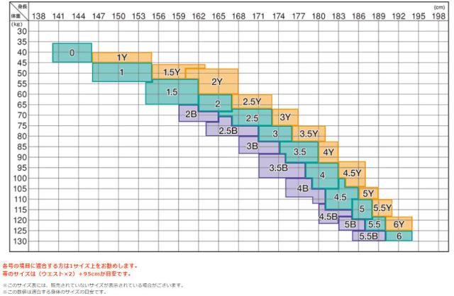 MIZUNO ミズノ 全柔連・ＩＪＦ新規格基準モデル柔道衣 優勝 上衣 柔道 優勝 メンズ 22JM5A1801の通販は