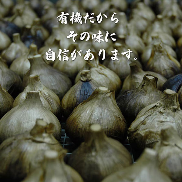 遠赤青汁 遠赤愛媛 有機 八片 黒にんにく 皮付きバラ 100g 箱入り 4箱セット 3087-4_3