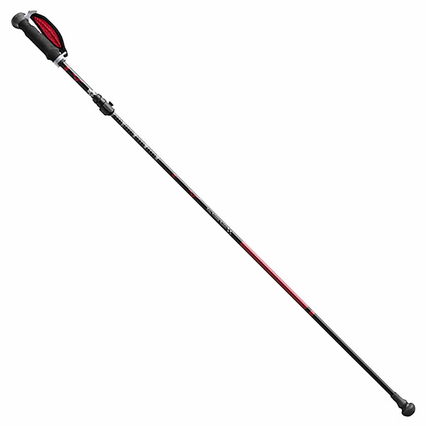 Golden Mean(ゴールデンミーン) EARTHSHAKERII(アースシェイカー2) ASS