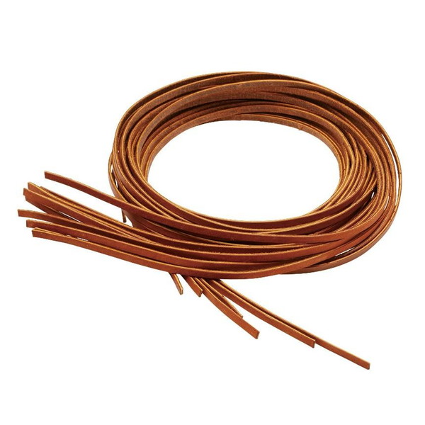 Rawling ローリングス U.S.A.RLテネシーレース 180cm EAC8F12SET-HT