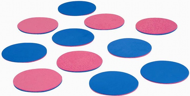 エバニュー 屋内スポーツリバーシR 10枚1組 ETE092