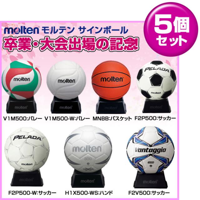お得なまとめ買い5個セット 卒業記念・大会出場の記念品に最適 molten モルテン スポーツ競技別 サインボール