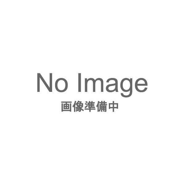 アキレス ACHILLES ソルボ C 574 レディース シューズ AWC5740-B-DBR
