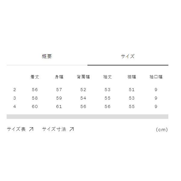C3fit シースリーフィット リオプティマムプレーティングジャージ—クロップドロングスリーブティーシャツ GCW45334 長袖