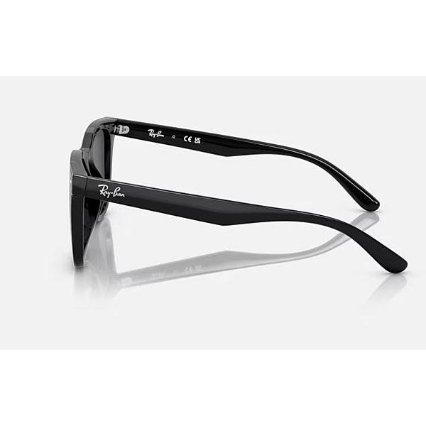 Ray-Ban レイバン RB4391D-601-87 サングラス 正規品 即納の通販はau