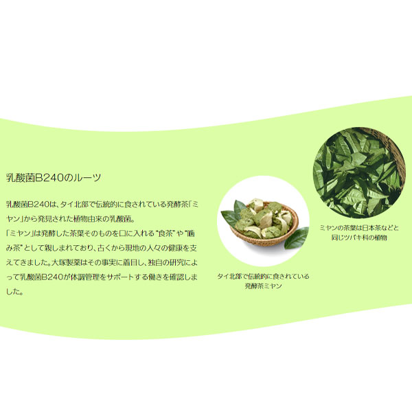 ボディメンテ BODY MAINTE 乳酸菌B240 ゼリー飲料 コンディショニング栄養食 1ケース 6個×5箱 大塚製薬 20881 即納あり