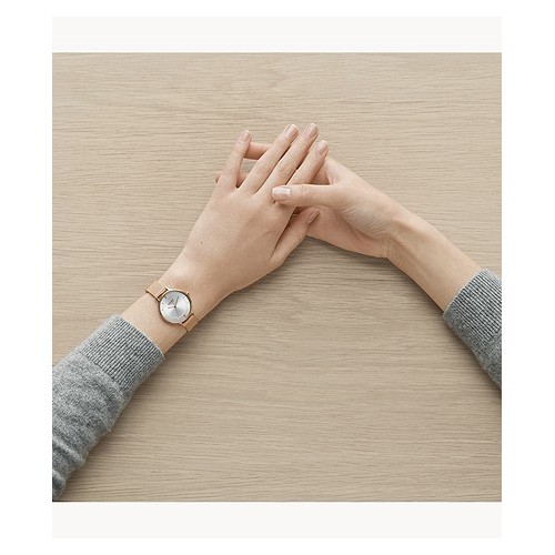 スカーゲン SKAGEN 腕時計 Anita Lille ローズトーンスチールメッシュ