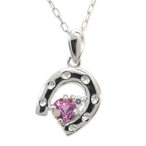 新品 鑑別 Pt ダイヤモンド ２粒 馬蹄(ホースシュー)プラチナ ネックレス Jewelry i ネックレス 馬蹄 ダイヤモンド ホースシュー プラチナ