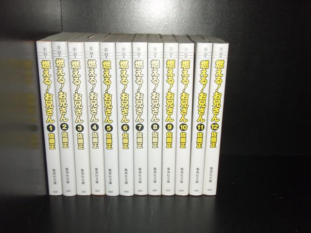 燃えるお兄さん　文庫版　全巻　全12巻セット 燃える！お兄さん 全12巻セット (集英社文庫―コミック版) | 佐藤
