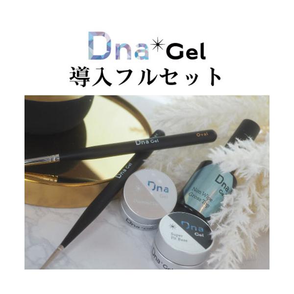 Dna Gel ディーナジェル 導入フルセット スターターキット ジェルネイル カラージェル クリアジェル トップジェル ベースジェル ミキシングジェル 新品 送料無料