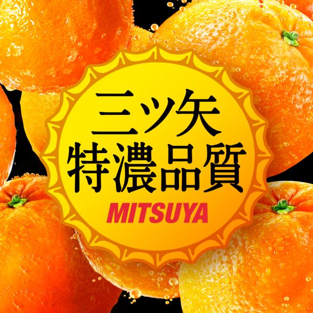 アサヒ 三ツ矢 特濃 オレンジスカッシュ 500ml ペットボトル 24本入