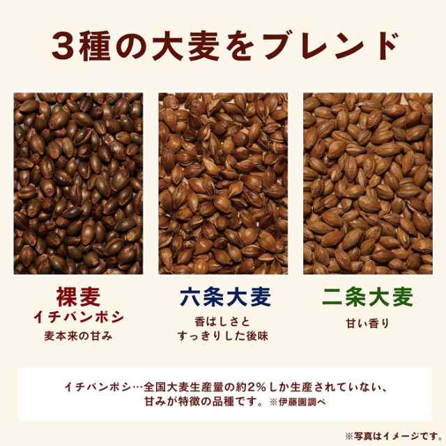 伊藤園 香り薫るむぎ茶 国産プレミアム ティーバッグ 7g×24袋 10個入