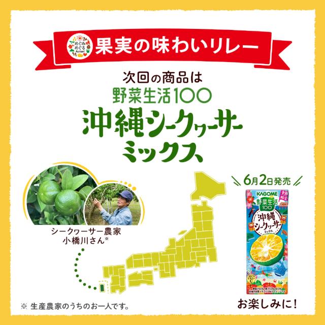 カゴメ 野菜生活100 山梨すももミックス 195ml 紙パック 72本 (24本入×3 まとめ買い) 野菜ジュース 季節限定 果汁ミックス 砂糖不使用 果汁ミックス_5