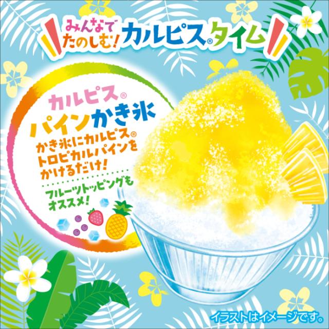 カルピス アサヒ THE RICH 470ml ペットボトル 24本入 乳酸菌