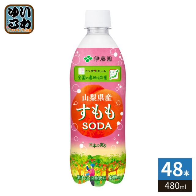 伊藤園 ニッポンエール 山梨県産 すももSODA 480ml ペットボトル 48本