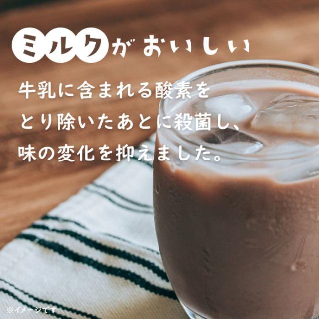 伊藤園 チチヤス ミルクココア 200ml 紙パック 24本入 ここあ COCOA