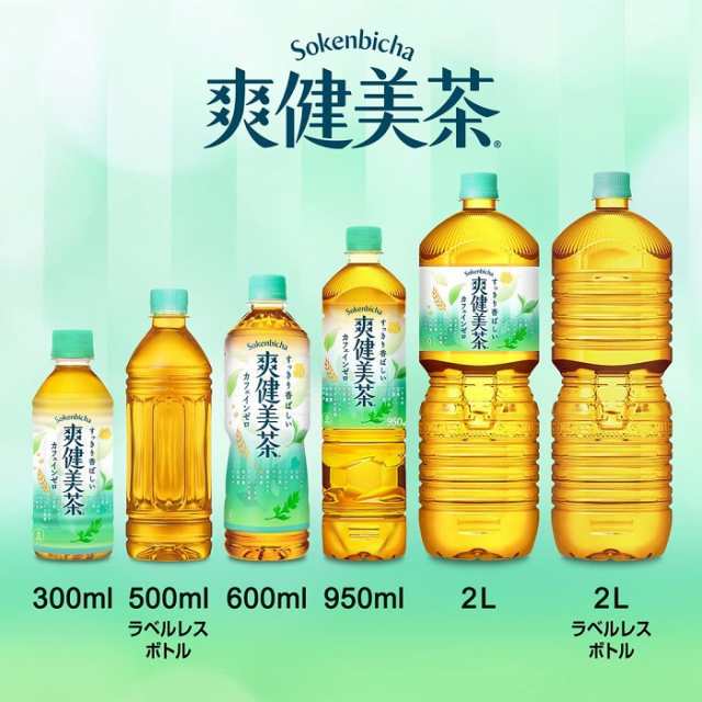 爽健美茶 600ml ペットボトル 48本 (24本入×2 まとめ買い) コカ 