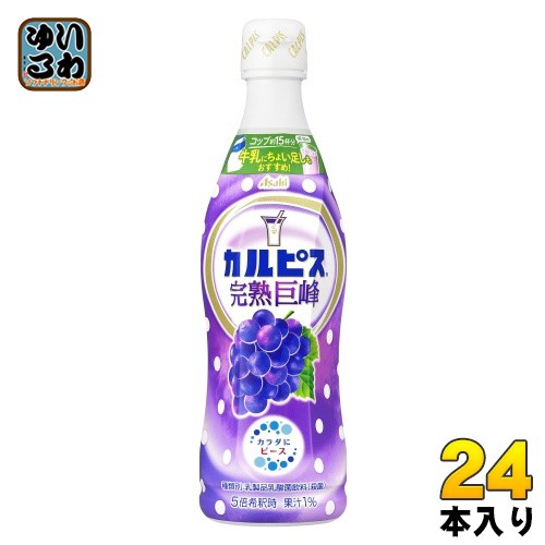 アサヒ カルピス 完熟巨峰 5倍希釈用 470ml プラスチックボトル 24本 (12本入×2 まとめ買い) 乳酸菌飲料 乳酸菌 乳性飲料  希釈の通販はau PAY マーケット - いわゆるソフトドリンクのお店 | au PAY マーケット－通販サイト