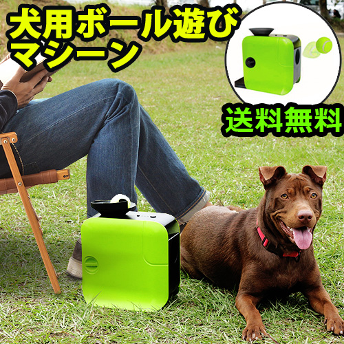 14時迄のご注文は当日発送 送料無料 ドットペットランチャー Dot Pet Launcher わんちゃん 犬用 犬 おもちゃ 収納 の通販はau Pay マーケット Plywood