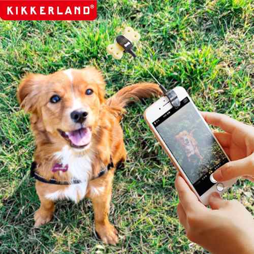 キッカーランド ドッグ トリート セルフィー クリップ Kikkerland Dog Treat Selfie Clip Kdig01 スマホ 犬用グッズ 犬 イヌ ペット おもの通販はau Pay マーケット Plywood
