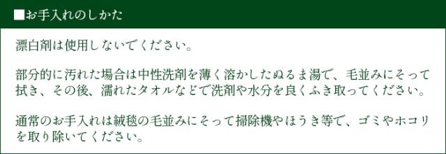 【12時迄のご注文は当日発送★送料無料★P10倍】BRID NEW GRASS RUG SQUARE 200x200 ブリッド ニュー グラス ラグ スクエア [芝生 ラグ 厚手 おしゃれ ふわふわ フカフカ 芝ラグ 暖かい グリーン 滑り止め 無地 人気 床暖房 ホットカーペット対応 夏 冬 一年中 通販]_5