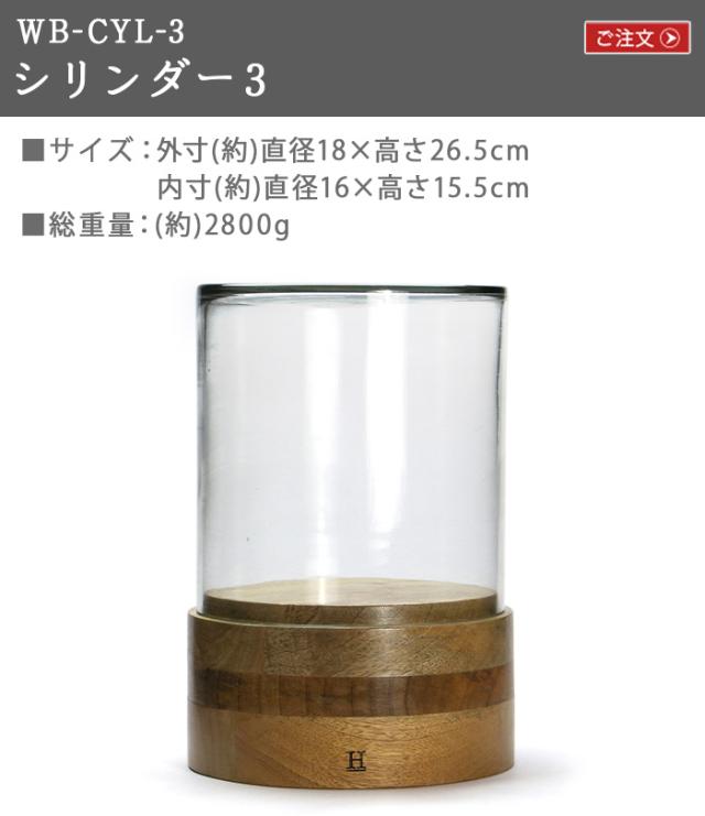 HERE ヒアー ガラスドーム WB レクタングル2 WB-RECT.2 ショーケース