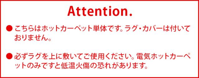 【選べる2大特典付】 ホットカーペット 2畳 電磁波カット zenken ゼンケン 電気ホットカーペット 単体 《2畳タイプ》 ZCB-20S 本体 ミニ ラグなし カバーなし マット 一人暮らし 磁界99％カット あったか 暖房器具 暖房 カーペット 送料無料 P10倍