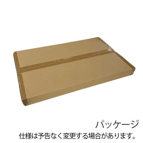 【選べる2大特典付】 ホットカーペット 1畳 電磁波カット zenken ゼンケン 電気ホットカーペット 単体 《1畳タイプ》 ZCB-10S 本体 ミニ ラグなし カバーなし マット 一人暮らし 磁界99％カット あったか 暖房器具 暖房 カーペット 送料無料 P10倍