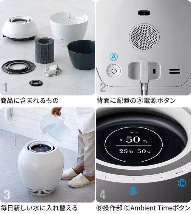 最新モデル バルミューダ レイン 加湿器 大容量 気化式 BALMUDA Rain 