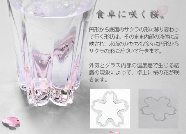 コップ さくらさく （さくらさく ≪ロック 単品 紙箱入