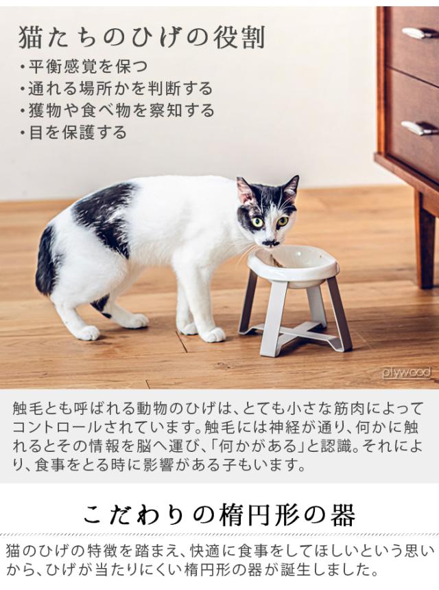 【選べる特典付】ペット 食器 陶器 pecolo Food Stand Stall wide [長皿浅型陶器] ペコロ フードスタンド 早食い防止 食べやすい フードボウル 高さがある 猫 餌皿 エサ皿 日本製 食器台 スタンド 猫ボウル おしゃれ ネコボウル ごはん皿 水 かわいい 雑貨 ギフト 送料無料_5
