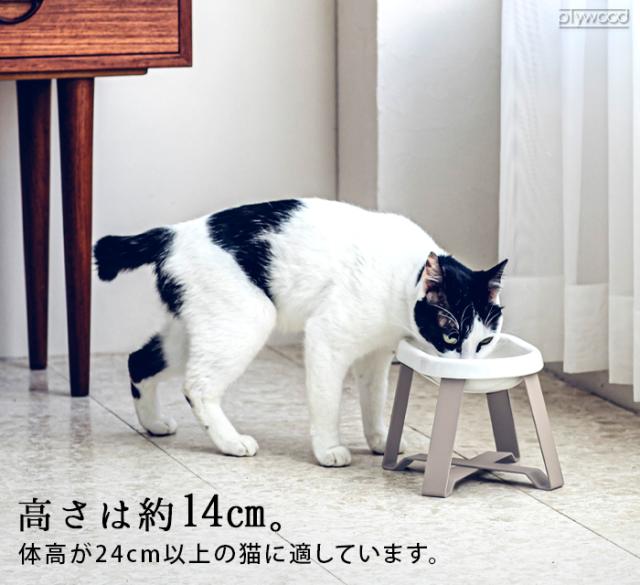 【選べる特典付】ペット 食器 陶器 pecolo Food Stand Stall wide [長皿浅型陶器] ペコロ フードスタンド 早食い防止 食べやすい フードボウル 高さがある 猫 餌皿 エサ皿 日本製 食器台 スタンド 猫ボウル おしゃれ ネコボウル ごはん皿 水 かわいい 雑貨 ギフト 送料無料_10
