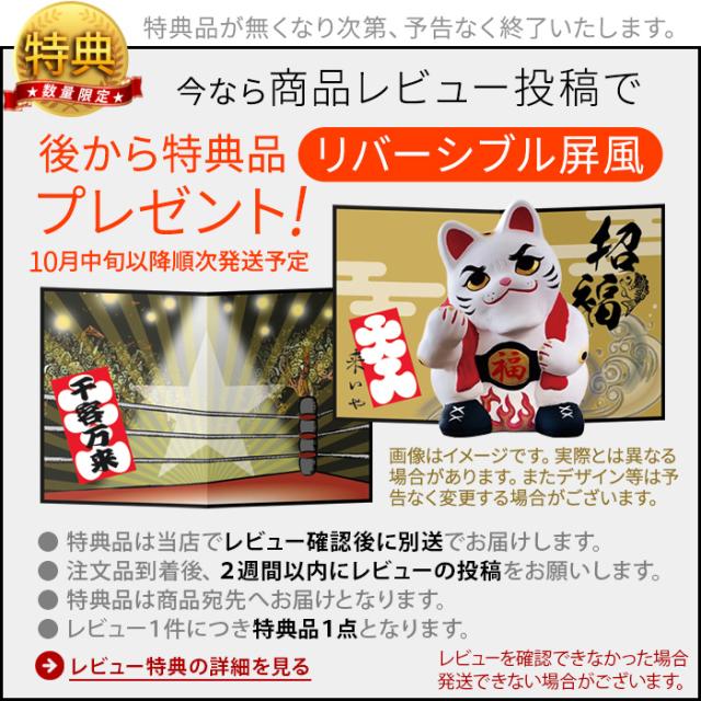 特典付】招き猫 置物 おしゃれ かわいい 陶器 ラッキーキャット 開店