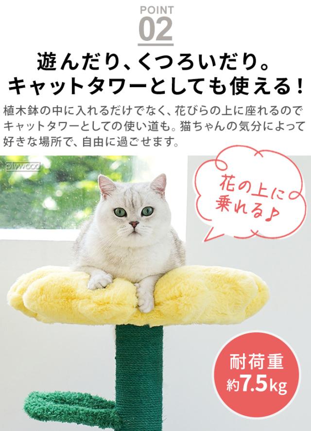 【メーカー直送品】【特典付】 猫ベッド ネコベッド ペットハウス おしゃれ zeze POT PET HOUSE ゼゼ ペット用ハウス [イエロー / レッド] ZE029 ZE045 キャットハウス クッション 室内用 可愛い 猫 ねこ◇爪とぎ キャットタワー かわいい ペット ベッド 送料無料