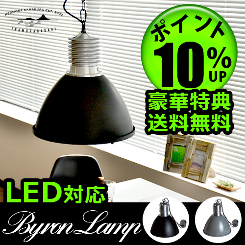 12時迄のご注文は当日発送☆送料無料☆P10%☆特典