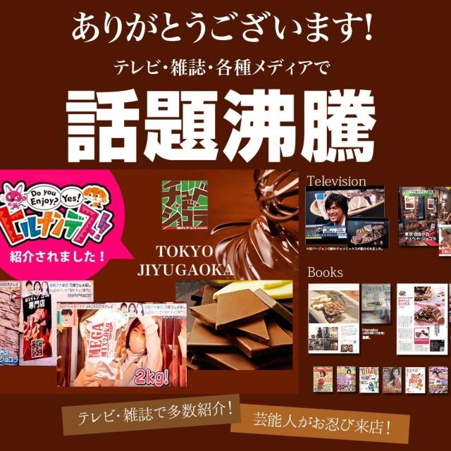 訳あり 割れチョコ メガミックス10種 1.5kg　チョコレート チョコ 割れチョコ 訳あり 送料無料 チュべ・ド・ショコラ クーベルチュール　山盛り　メガ盛り　大容量　食べ放題