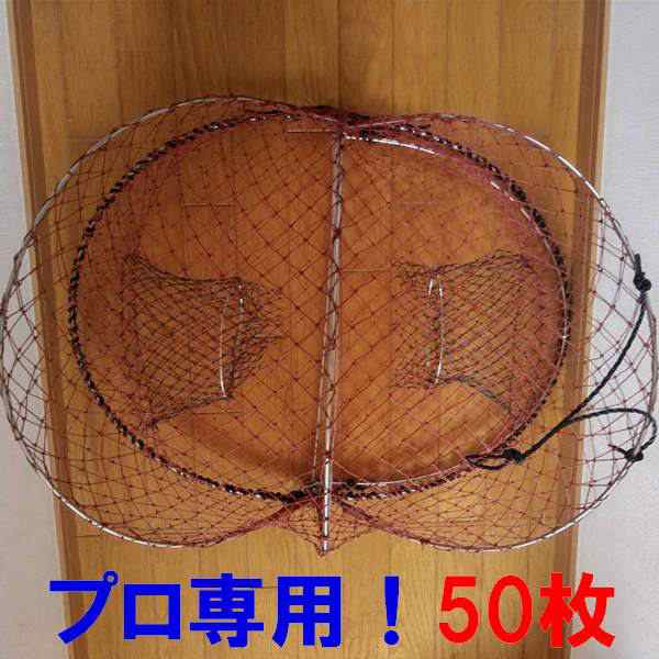 imgrc0106704326.jpg
