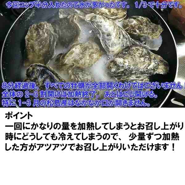 牡蠣 殻付き 「冷凍牡蠣 ＳＳサイズ５ｋｇ」（約100粒）5キロ 冷凍便 送料無料！ 宮城県産 殻付き牡蠣 殻付き 殻付 カキ 加熱用 松島牡