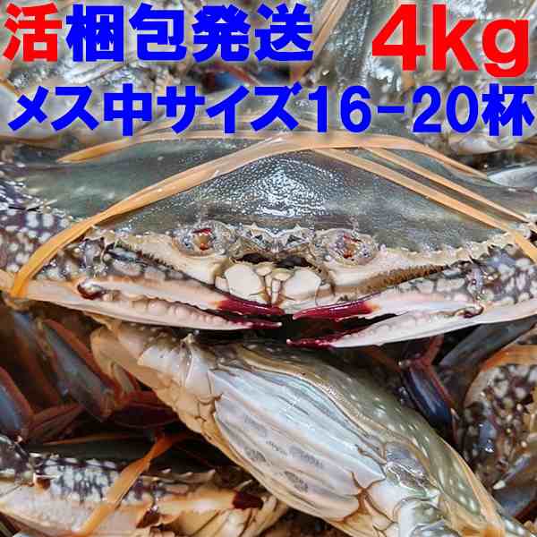 内子入ってきました】「ワタリガニ メス中サイズ４ｋｇ」 渡り蟹