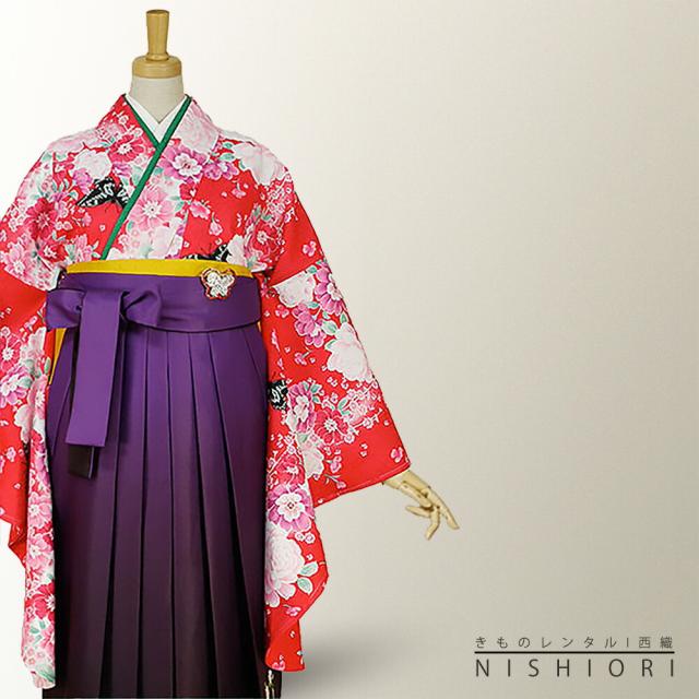 二尺袖着物 袴 レンタル 貸衣装 Lサイズ H L ブランド 袴 Lサイズ