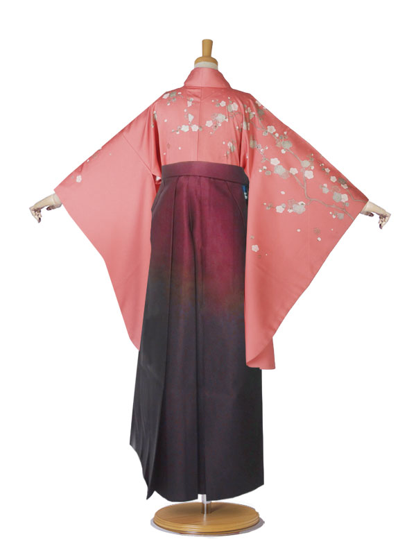 二尺袖着物 袴 レンタル 貸衣装 赤×ワイン×ボカシ×刺繍 袴