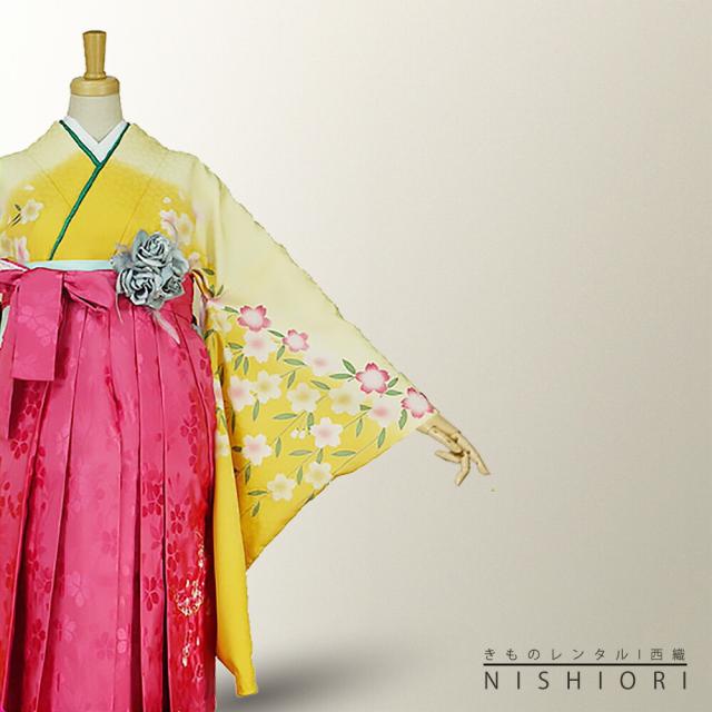 二尺袖着物 袴 レンタル 貸衣装 HL 黄色×ピンク×ボカシ×刺繍