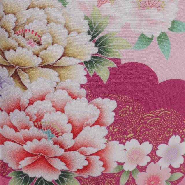 訪問着 レンタル 着物 貸衣装 フルセット ピンク 桜No.0203