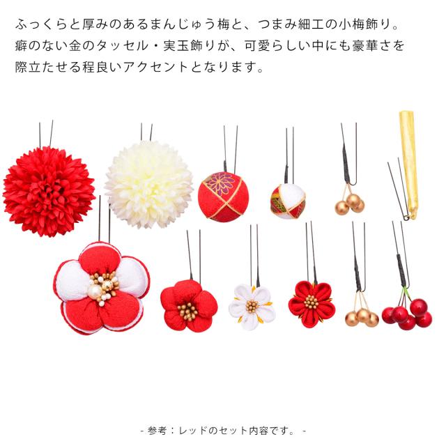 【Arenca】髪飾り 成人式 花髪飾り Uピン 12点セット フラワーポット入り インテリア パッケージ 選べる 5色 「福寿梅」 うめ レッド 黒 パープル ベージュ 白 くすみカラー 振袖用 お花飾り 成人式 卒業式 結婚式 着物 日本製_4
