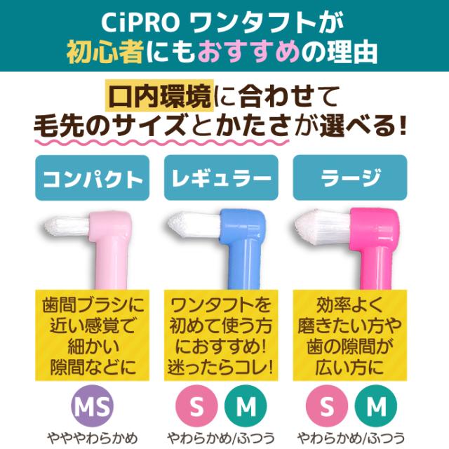 CiPRO ワンタフト レギュラーヘッド Mふつう 50本入_10
