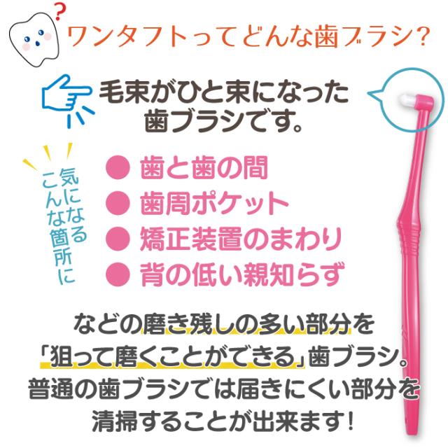 CiPRO ワンタフト レギュラーヘッド Mふつう 50本入_5