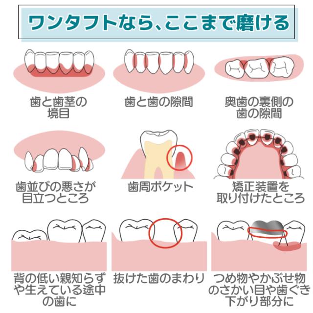 CiPRO ワンタフト レギュラーヘッド Mふつう 50本入_7