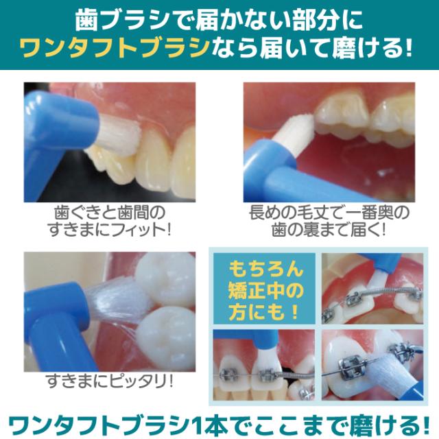 CiPRO ワンタフト レギュラーヘッド Mふつう 50本入_8
